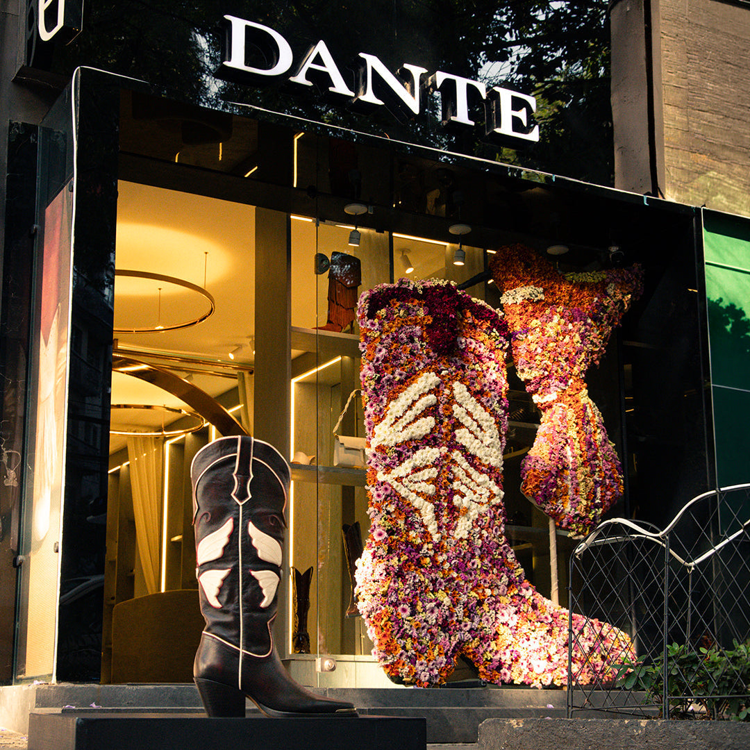 Blog – Dante
